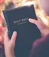 holy, book, bible